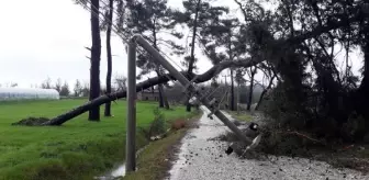 Antalya'da yağmur ve fırtına hayatı olumsuz etkiledi (9)