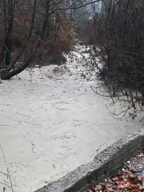 Burdur'da rüzgar ağaçları devirdi, seraları su bastı Burdur'da rüzgar ağaçları devirdi, seraları su bastı