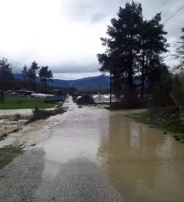 Burdur'da rüzgar ağaçları devirdi, seraları su bastı Burdur'da rüzgar ağaçları devirdi, seraları su bastı