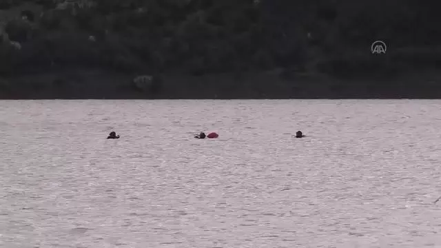 Çanakkale'de gölete düşen araçtaki 2 kişi kayboldu Çanakkale'de gölete düşen araçtaki 2 kişi kayboldu