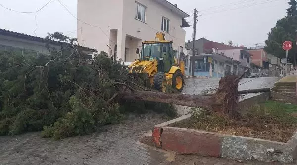 Denizli'de şiddetli rüzgar çatıları uçurdu, ağaçları söktü (2) Denizli'de şiddetli rüzgar çatıları uçurdu, ağaçları söktü (2)