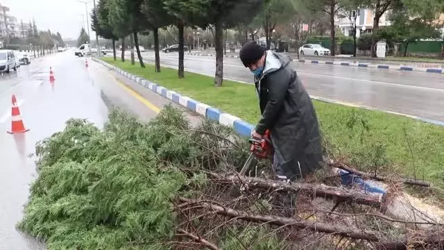 Fırtına ve sağanak nedeniyle çatılar uçtu, ağaçlar devrildi Fırtına ve sağanak nedeniyle çatılar uçtu, ağaçlar devrildi