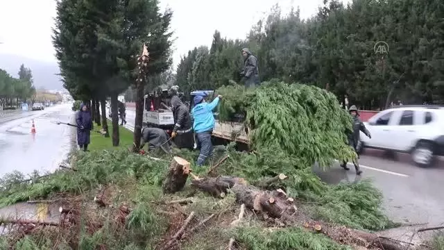 Fırtına ve sağanak nedeniyle çatılar uçtu, ağaçlar devrildi Fırtına ve sağanak nedeniyle çatılar uçtu, ağaçlar devrildi
