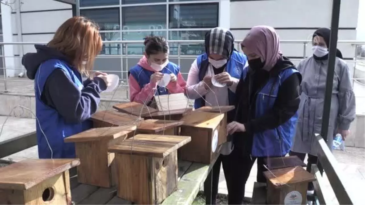 Genç gönüllüler kuşlar için yuva yaptı