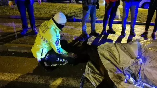 Kamyonet aniden yola çıkan ata çarptı, çevredekiler gözyaşlarını tutamadı Kamyonet aniden yola çıkan ata çarptı, çevredekiler gözyaşlarını tutamadı