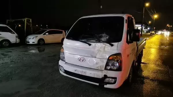 Kamyonet aniden yola çıkan ata çarptı, çevredekiler gözyaşlarını tutamadı Kamyonet aniden yola çıkan ata çarptı, çevredekiler gözyaşlarını tutamadı