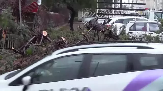 Konyaaltı Sahili'nde rüzgarın etkisiyle dev dalgalar oluştu Konyaaltı Sahili'nde rüzgarın etkisiyle dev dalgalar oluştu