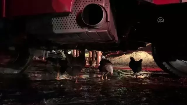 Polonezköy Tabiat Parkı'ndaki barakada çıkan yangın kontrol altına alındı Polonezköy Tabiat Parkı'ndaki barakada çıkan yangın kontrol altına alındı