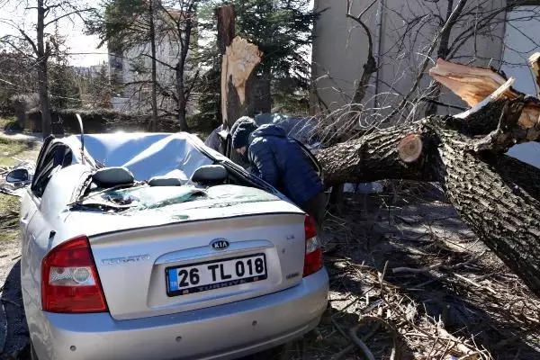 Saniyeler önce park ettiği otomobilinin üzerine ağaç devrildi Saniyeler önce park ettiği otomobilinin üzerine ağaç devrildi
