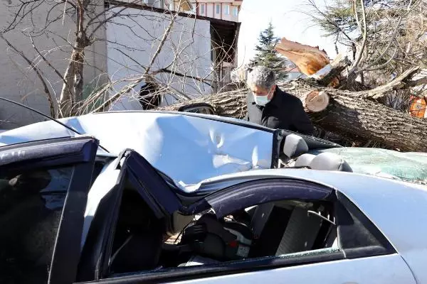 Saniyeler önce park ettiği otomobilinin üzerine ağaç devrildi Saniyeler önce park ettiği otomobilinin üzerine ağaç devrildi