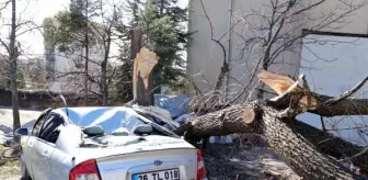 Saniyeler önce park ettiği otomobilinin üzerine ağaç devrildi