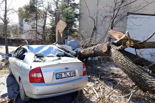 Saniyeler önce park ettiği otomobilinin üzerine ağaç devrildi Saniyeler önce park ettiği otomobilinin üzerine ağaç devrildi