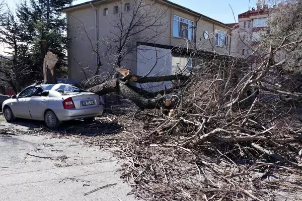 Saniyeler önce park ettiği otomobilinin üzerine ağaç devrildi Saniyeler önce park ettiği otomobilinin üzerine ağaç devrildi