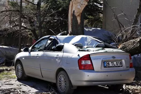 Saniyeler önce park ettiği otomobilinin üzerine ağaç devrildi Saniyeler önce park ettiği otomobilinin üzerine ağaç devrildi