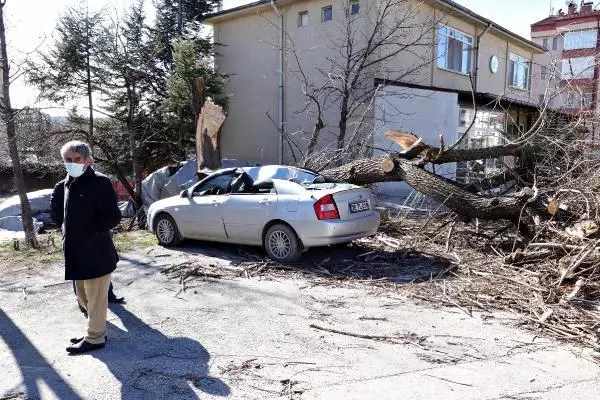 Saniyeler önce park ettiği otomobilinin üzerine ağaç devrildi Saniyeler önce park ettiği otomobilinin üzerine ağaç devrildi