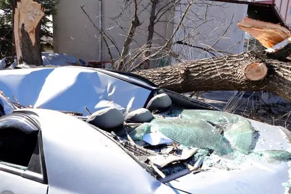 Saniyeler önce park ettiği otomobilinin üzerine ağaç devrildi Saniyeler önce park ettiği otomobilinin üzerine ağaç devrildi