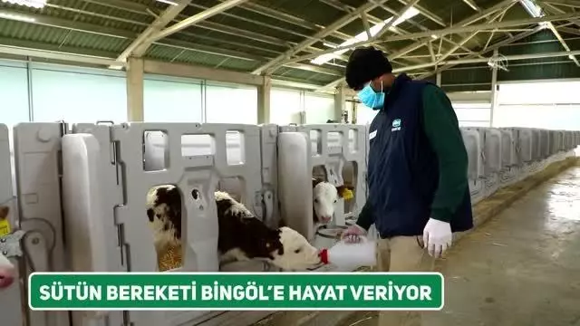 Son dakika! SÜTAŞ'ın 1 milyar 115 milyon liralık yatırımında çalışmalar hızla ilerliyor Son dakika! SÜTAŞ'ın 1 milyar 115 milyon liralık yatırımında çalışmalar hızla ilerliyor