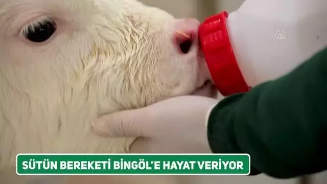 Son dakika! SÜTAŞ'ın 1 milyar 115 milyon liralık yatırımında çalışmalar hızla ilerliyor Son dakika! SÜTAŞ'ın 1 milyar 115 milyon liralık yatırımında çalışmalar hızla ilerliyor