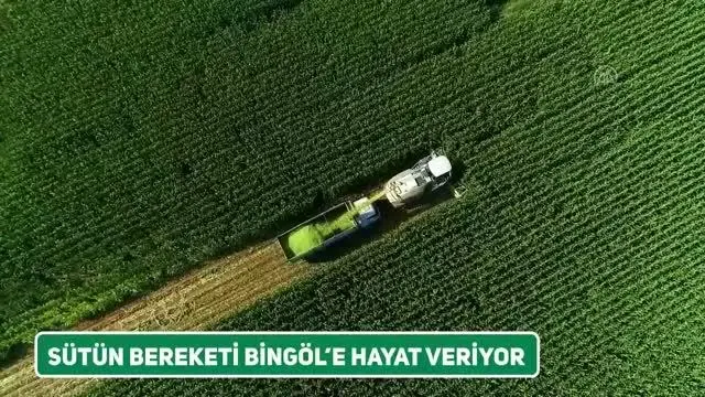 Son dakika! SÜTAŞ'ın 1 milyar 115 milyon liralık yatırımında çalışmalar hızla ilerliyor Son dakika! SÜTAŞ'ın 1 milyar 115 milyon liralık yatırımında çalışmalar hızla ilerliyor