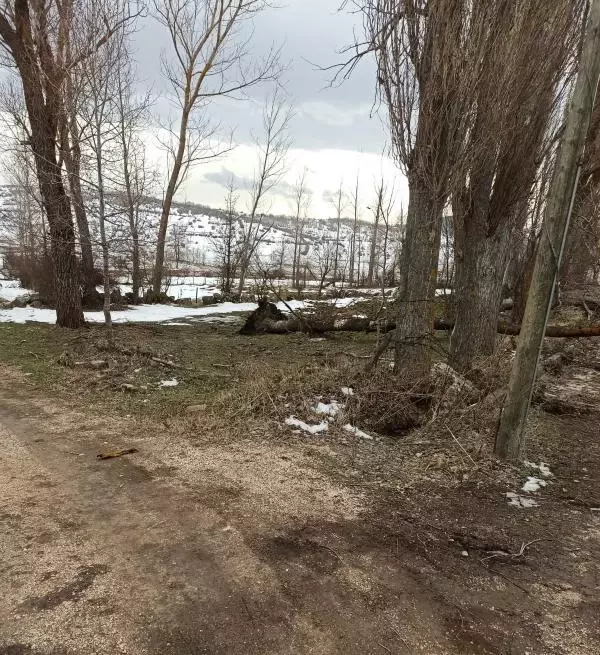 Tokat'ta şiddetli rüzgar; ağaçlar devrildi, elektrik kabloları koptu Tokat'ta şiddetli rüzgar; ağaçlar devrildi, elektrik kabloları koptu
