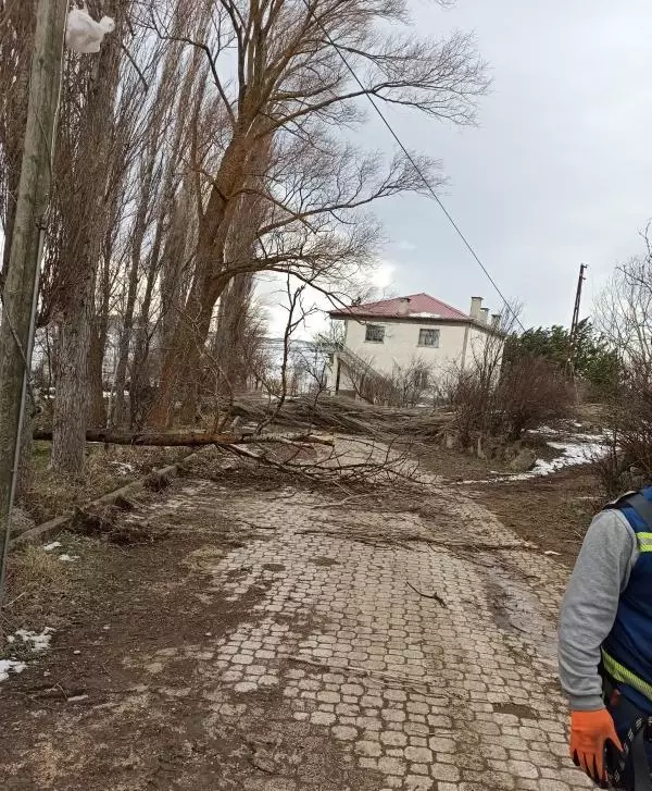 Tokat'ta şiddetli rüzgar; ağaçlar devrildi, elektrik kabloları koptu Tokat'ta şiddetli rüzgar; ağaçlar devrildi, elektrik kabloları koptu
