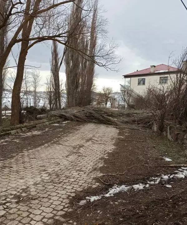 Tokat'ta şiddetli rüzgar; ağaçlar devrildi, elektrik kabloları koptu Tokat'ta şiddetli rüzgar; ağaçlar devrildi, elektrik kabloları koptu