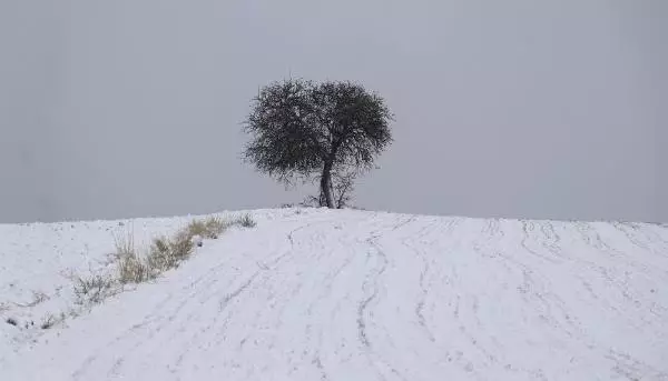Ankara'da kar yağışı Ankara'da kar yağışı