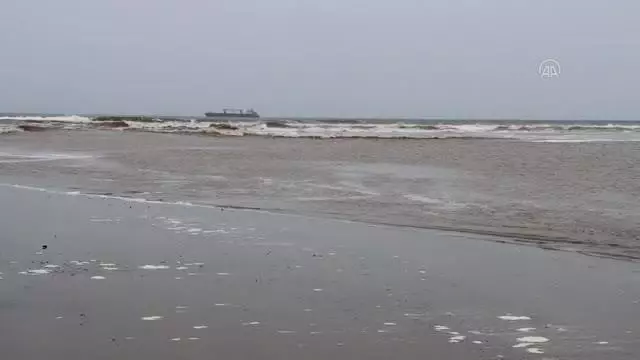 Balıkçıların lodostan denize açılamaması tezgahlardaki çeşidi ve fiyatı etkiledi Balıkçıların lodostan denize açılamaması tezgahlardaki çeşidi ve fiyatı etkiledi