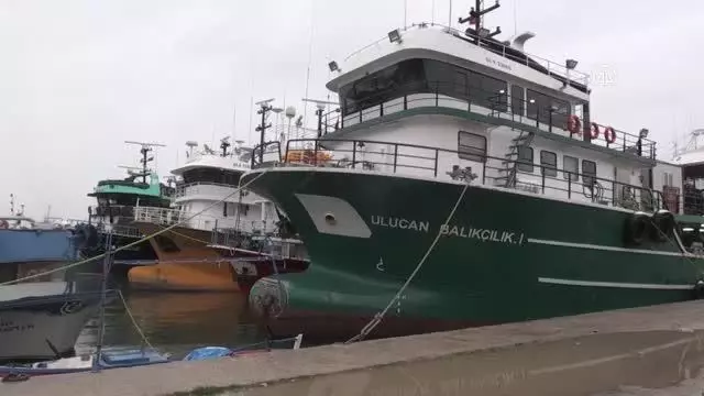 Balıkçıların lodostan denize açılamaması tezgahlardaki çeşidi ve fiyatı etkiledi Balıkçıların lodostan denize açılamaması tezgahlardaki çeşidi ve fiyatı etkiledi