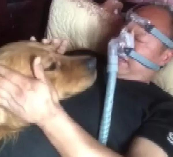 Çin'de köpeğin hasta sahibine olan vefası duygulandırdı