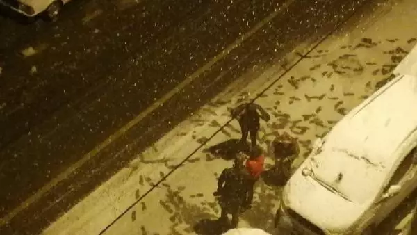 Menteşe'de sağanak ve fırtına yerini kara bıraktı Menteşe'de sağanak ve fırtına yerini kara bıraktı