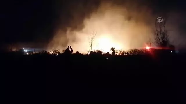 Orman ve sazlıkta çıkan yangınlar söndürülmeye çalışılıyor Orman ve sazlıkta çıkan yangınlar söndürülmeye çalışılıyor