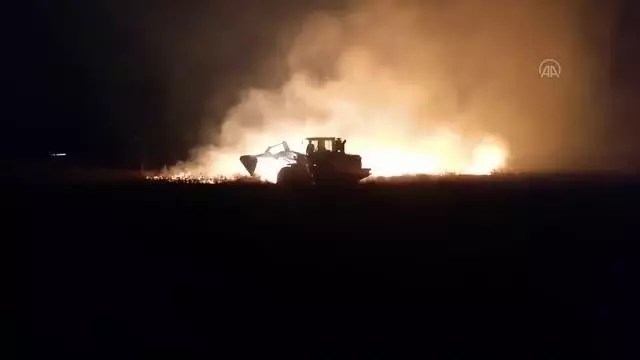 Orman ve sazlıkta çıkan yangınlar söndürülmeye çalışılıyor Orman ve sazlıkta çıkan yangınlar söndürülmeye çalışılıyor