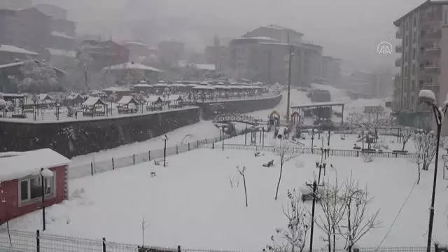 Şemdinli'de kar yağışı etkili oldu Şemdinli'de kar yağışı etkili oldu
