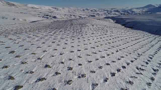 Sivaslı işadamı memleketine Türkiye'nin en büyük meyve bahçesini kuruyor Sivaslı işadamı memleketine Türkiye'nin en büyük meyve bahçesini kuruyor