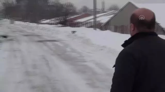 Tatvan'da kafası konserve kutusuna sıkışan kediyi okul müdürü kurtardı Tatvan'da kafası konserve kutusuna sıkışan kediyi okul müdürü kurtardı