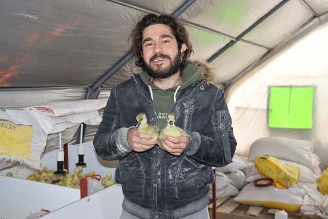 Üniversite öğrencisi pandemiyi fırsata çevirdi, kaz çiftliği kurdu