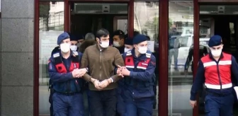 Manavgat'ta fuhuş operasyonu: 10 tutuklama (3)