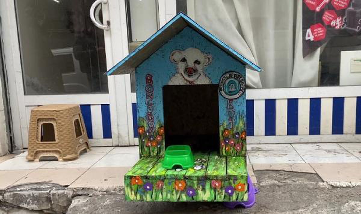 Vefalı köpek 'Boncuk'a rengarenk kulübe