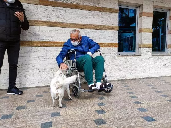 Vefalı köpek 'Boncuk'a rengarenk kulübe Vefalı köpek 'Boncuk'a rengarenk kulübe