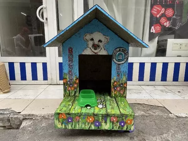 Vefalı köpek 'Boncuk'a rengarenk kulübe Vefalı köpek 'Boncuk'a rengarenk kulübe