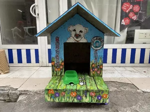 Vefalı köpek 'Boncuk'a rengarenk kulübe Vefalı köpek 'Boncuk'a rengarenk kulübe
