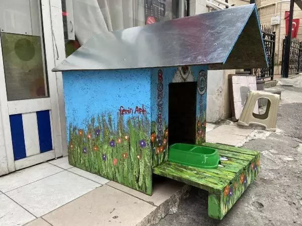 Vefalı köpek 'Boncuk'a rengarenk kulübe Vefalı köpek 'Boncuk'a rengarenk kulübe
