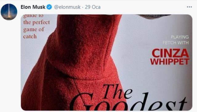 Her yaptığıyla piyasaları yerinden oynatan Elon Musk'a suçlama: Manipüle ediyor