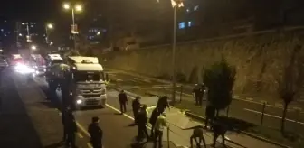 TIR'ın dorsesindeki saclar yola savruldu