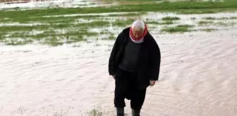 Gaziantep'te sağanak yağış sonrası tarlalar su altında kaldı
