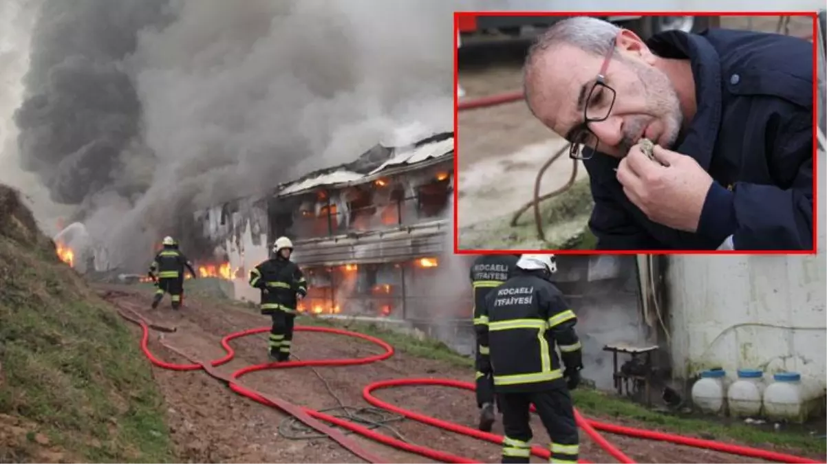 56 bin civcivin bulunduğu çiftlikteki yangında duygulandıran görüntüler