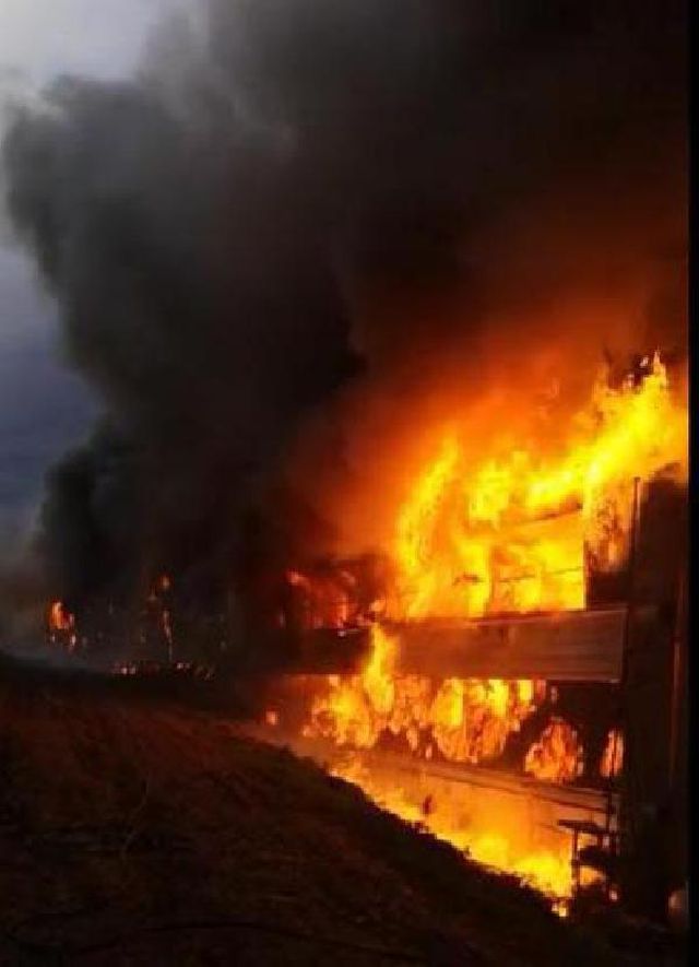 56 bin civcivin bulundugu tavuk ciftligi yand 2 13900436 o