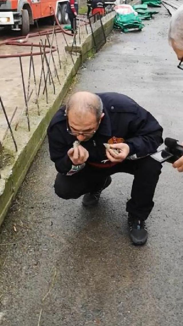 56 bin civcivin bulundugu tavuk ciftligi yand 2 13901722 o