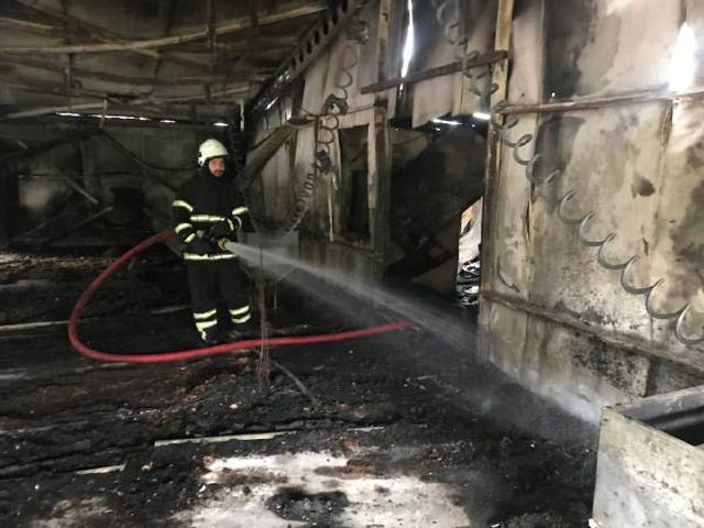 56 bin civcivin bulundugu tavuk ciftligi yand 3 13900572 o